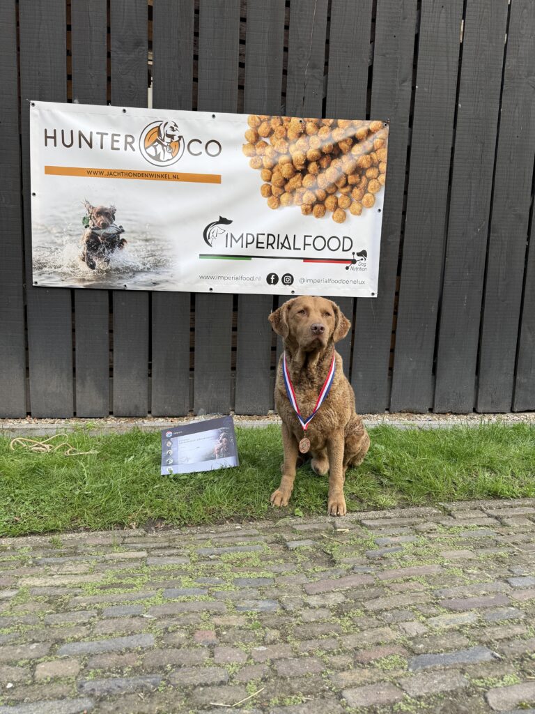 Dritter Platz