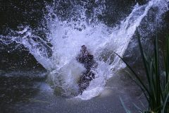 Wassersprung