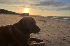 Chessie Lago on the Ohama Beach, France
