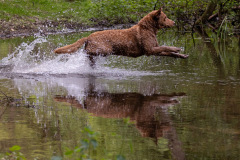 Wassertraining