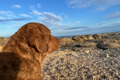 Fort d‘ Ambleteuse