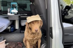 Startklar für den Workingtest Nessetal 2024