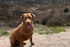 Nationalpark Velowezoom