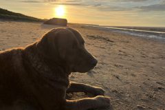 cropped-Lago-Beach-France-1-scaled-1