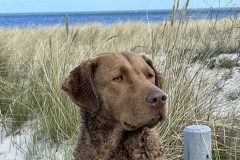 cropped-Lago-Beach-Usedom-1-scaled-1