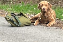 Lago ist die Ruhe selbst