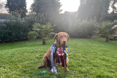 20260131_Kaunitz_Sieger_1